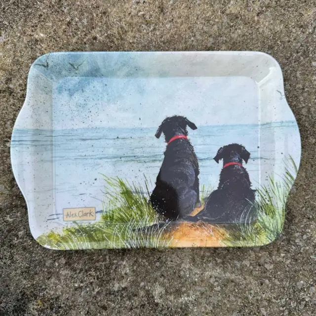 Alex Clark Δισκάκι Σερβιρίσματος από Μελαμίνη / Small Melamine Tray: Dunes