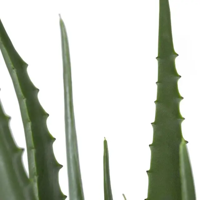 GloboStar® Aloe 20066 Τεχνητό Διακοσμητικό Φυτό Αλόη Y65cm Μαύρο Πράσινο 3