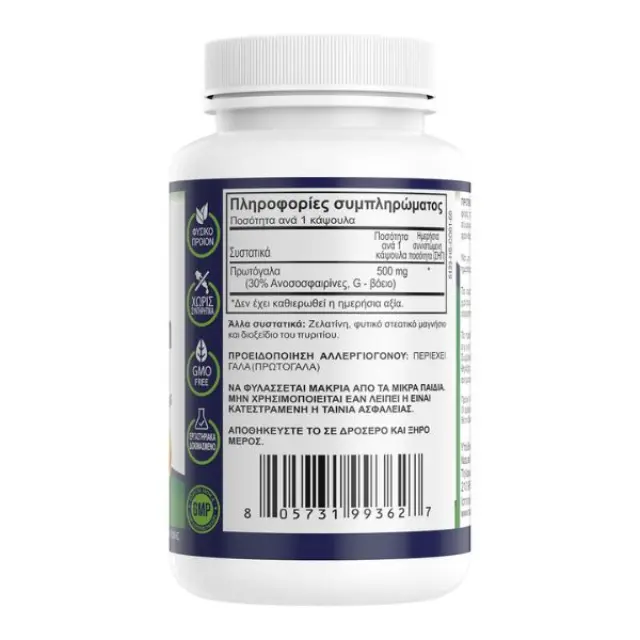Natural Vitamins | Colostrum 500mg | Συμπλήρωμα Διατροφής για την καλή Υγεία του Πεπτικού Συστήματος | 60 Κάψουλες 2