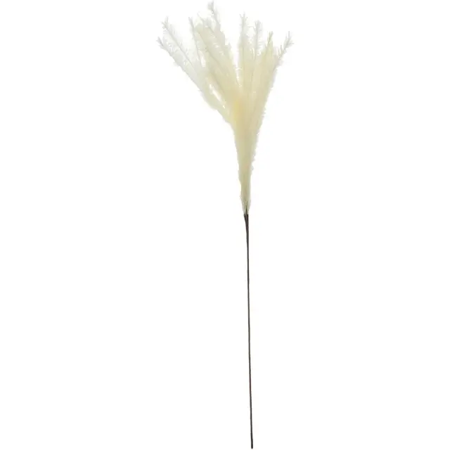 Κλαδί Κρεμ Φτερό 140cm 2