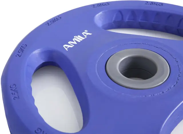 Δίσκος AMILA Pump Rubber Φ28 2,50Kg (44415) 2