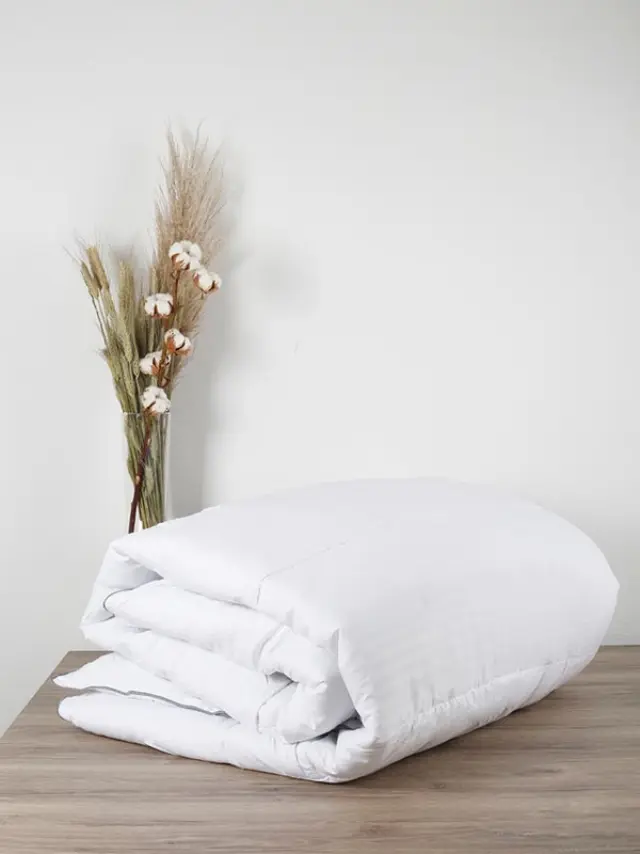 Πάπλωμα Μicro White King Size (240x250) Sunshine
