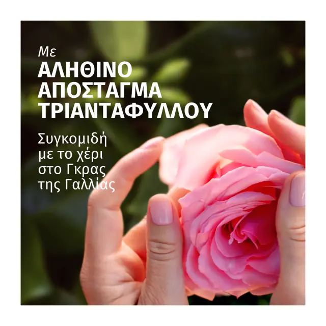 Herbal Εssences Σαμπουάν Rose Αντλία 650ml 2