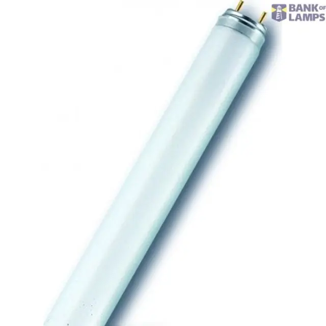 L 38W/840 LUMILUX 25X1 OSRAM