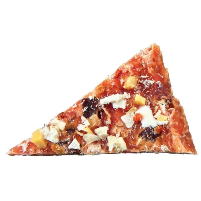 Trixie Premio Chicken Pizza Πίτσα Λιχουδιά Σκύλου με Κοτόπουλο 100gr 2