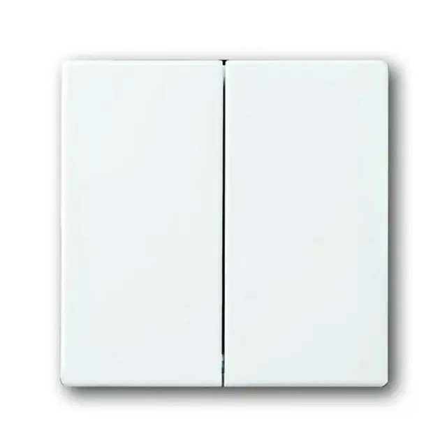 1785-84 CoverPlates (partly incl. Insert) future®, Busch-axcent®, solo®; carat® Studio white