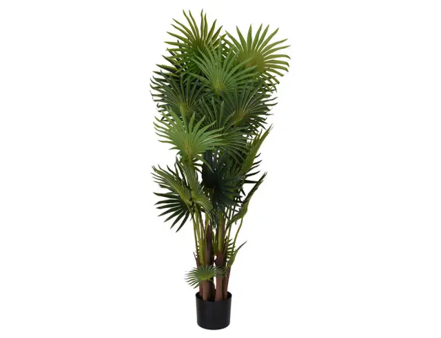 Tεχνητό φυτό σε γλάστρα Φοίνικας - 120cm 318000770 2