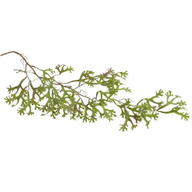 Κρεμαστή πρασινάδα άγρια, pale green, 100cm