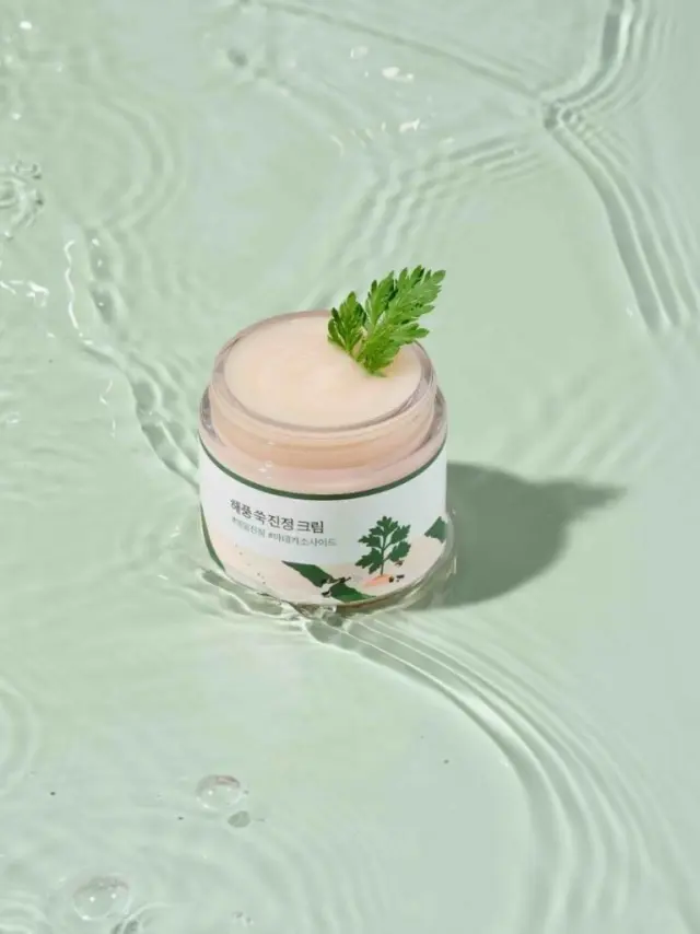 Round Lab Mugwort Calming Moisturizer – Ενυδατική κρέμα με αρτεμισια για καταπράυνση 80ml 2