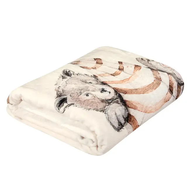Παιδική Κουβέρτα Fleece Μονή Greenwich Polo Club 8850 Cream-Taupe-Teracotta 160x220 3