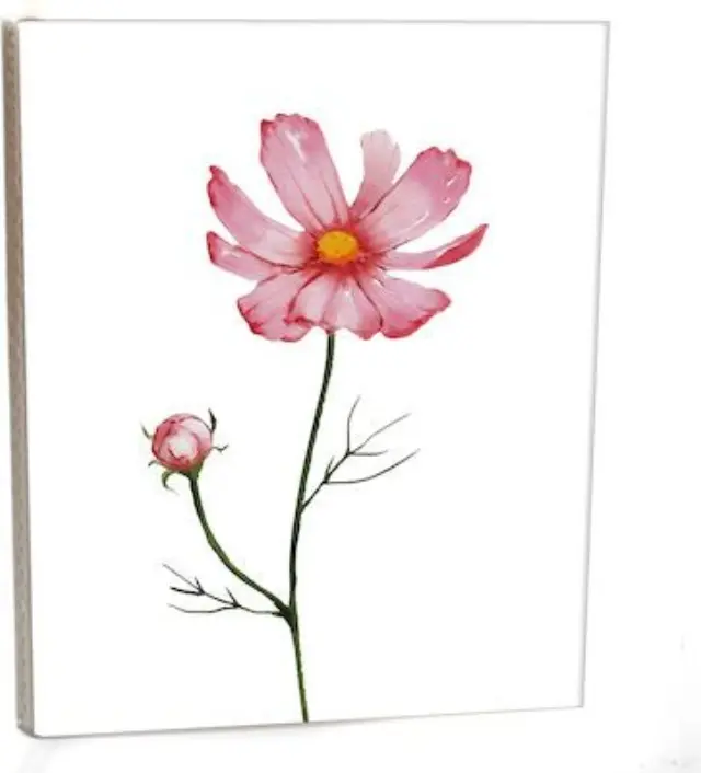 Άλμπουμ pocket με θήκες για 40 φωτογραφίες 15Χ21 DAISY