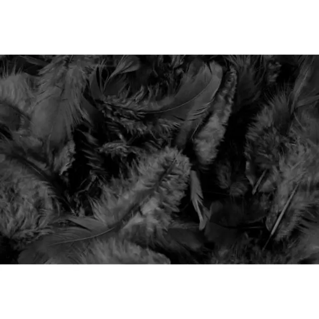 Φτερά πακέτο 10gr, black
