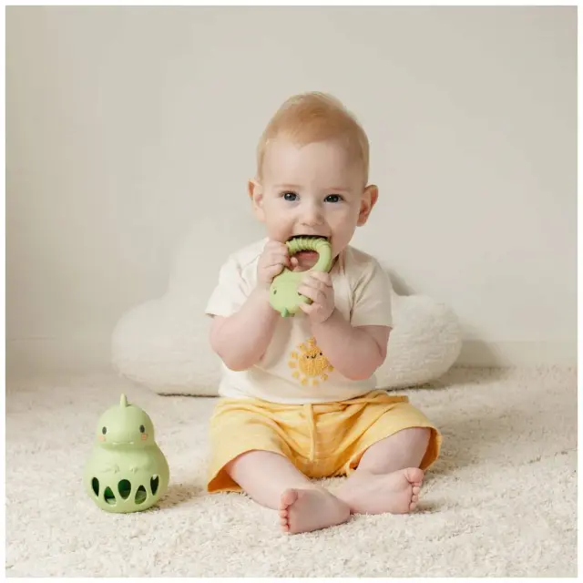 Παιχνίδι Οδοντοφυίας Tiger Tribe Silicone Teether Dino 0-18m 3