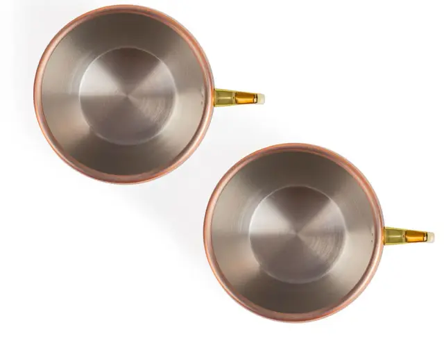 Σετ ποτήρια Moscow Mule Livoo με χωρητικότητα 500ml - 2 τεμάχια GS155 2