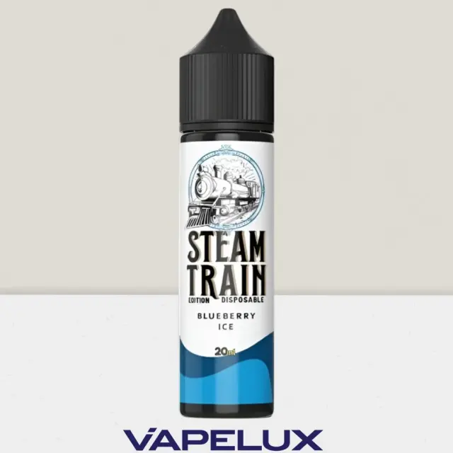 Steam Train Disposable Edition Flavor Shots Blueberry Ice 20ml to 60ml 2