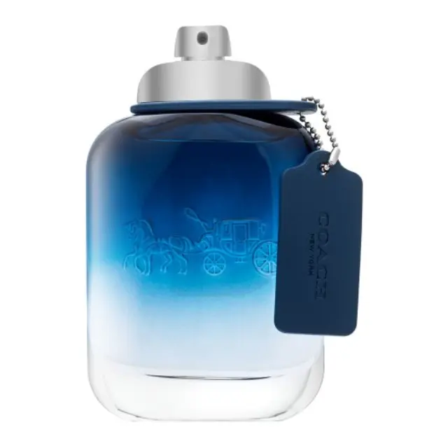 Coach Blue Eau de Toilette for men 100 ml