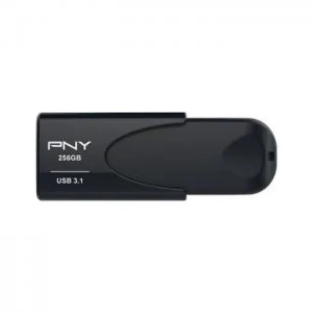 USB 3.1 stick 256GB. 2