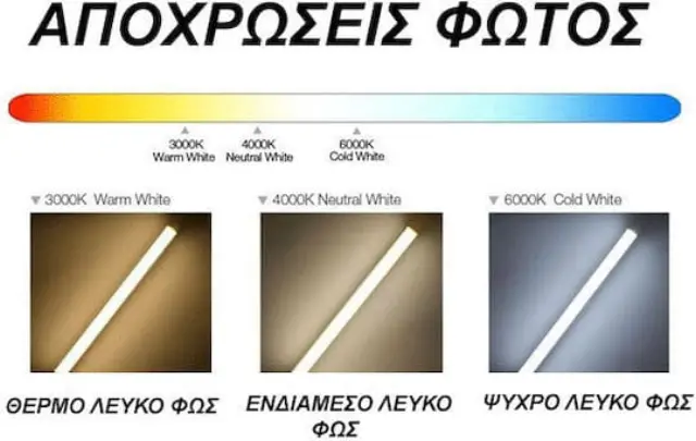 LED T8 9W 60cm 6500K VITUS 2