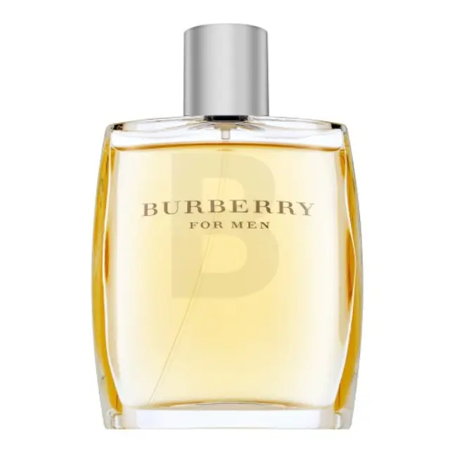 Burberry For Men Eau de Toilette for men 100 ml