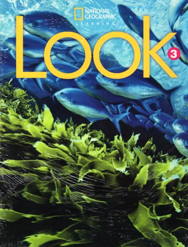 LOOK 3 BUNDLE (SB + WB + READING ANTHOLOGY) - BRIT. ED