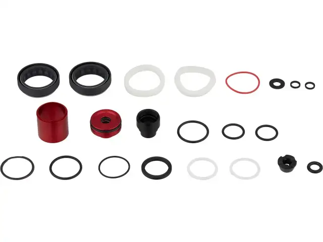 SERVICE KIT ROCKSHOX LYRIK SELECT D1+ (2023+) 200 HOUR/1 YEAR
