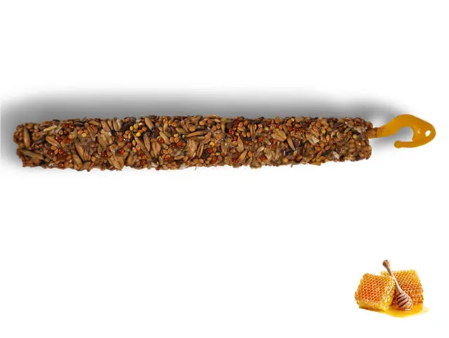 Vadigran Stixx Budgies Honey Στικς για Παπαγαλάκια με Μέλι 2τμχ 85gr 2