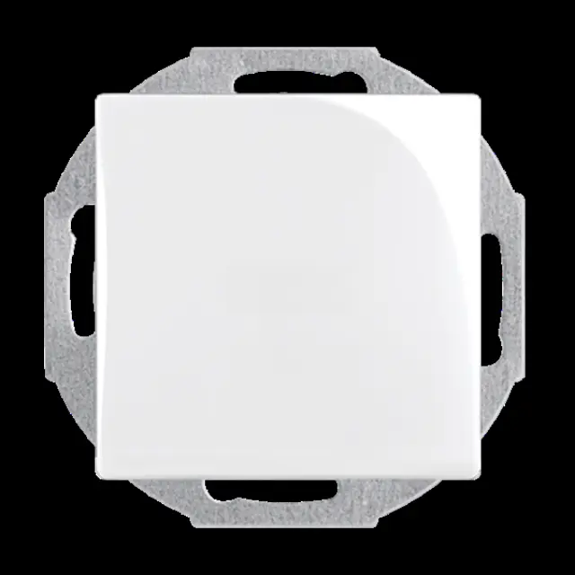 2538-94-507 Cover Plates (partly incl. Insert) Blind cap 0 gang alpine white - Basic55
