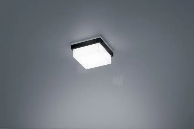 COSI Φωτιστικό Τοίχου Οροφής LED Μαύρο Ματ IP30