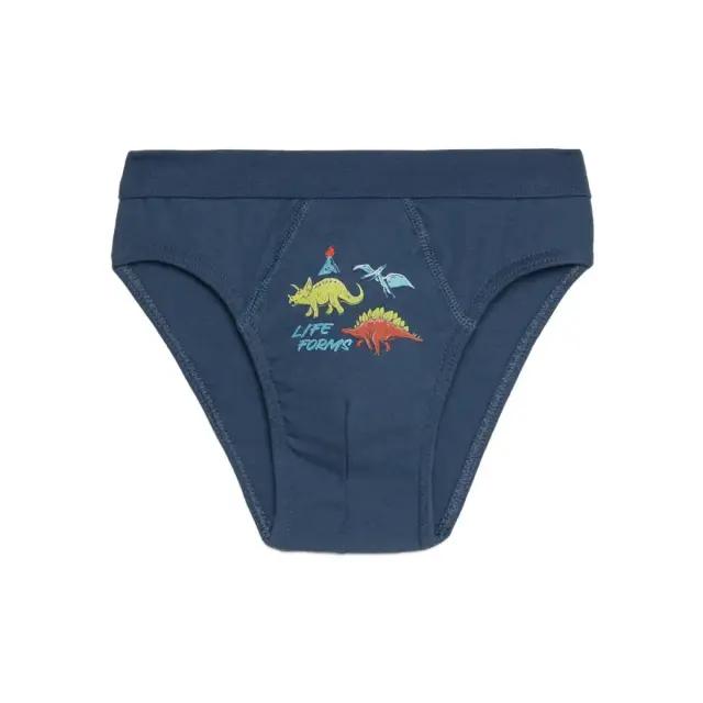 Minerva Παιδικό Slip Αγόρι Dino Forms, Χρώμα Ραφ
