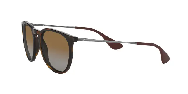 Γυαλιά Ηλίου Ray Ban ERIKA RB4171 710/T5 Ντεγκραντέ Polarized (Ray Ban) (RB4171 710/T5) 3