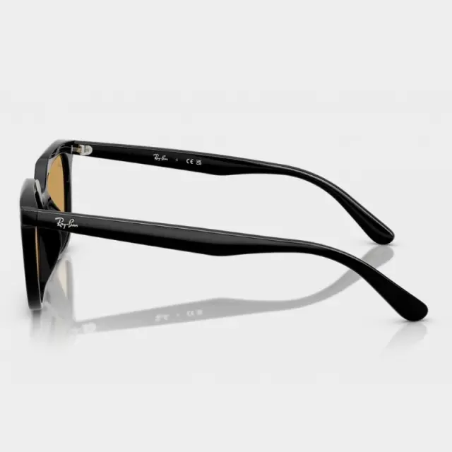 Γυαλιά Ηλίου Ray Ban RB4439D 901/73 Μαύρο - 54 3