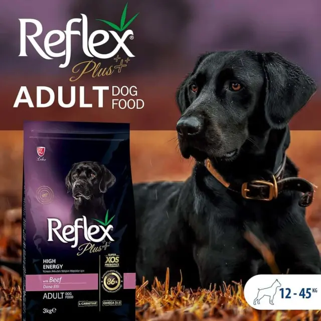 Reflex PLus Medium/Large Adult Beef High Energy 3kg 2