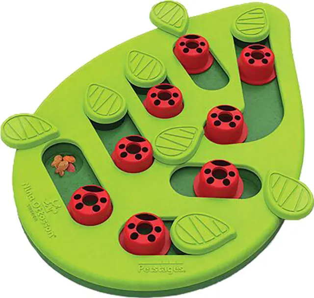 NINA OTTOSSON - Cat Puzzle AND Play Buggin Out - (787.8110) - Pet Supplies