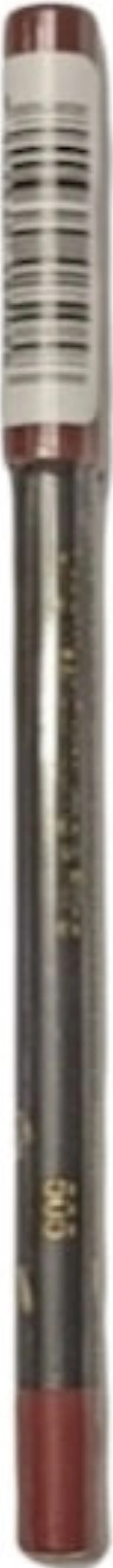 MD Professionnel Perfect Liner Waterproof Lip Color 505