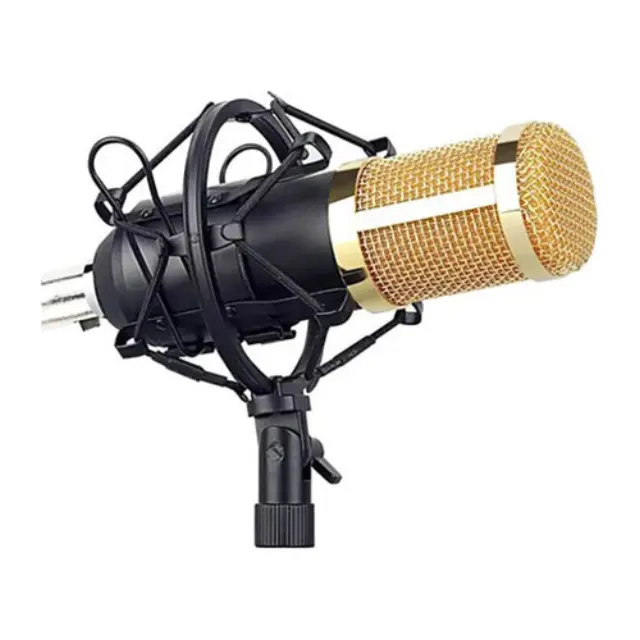 Andowl Δυναμικό Μικρόφωνο XLR MIC8 Set Τοποθέτηση Shock Mounted/Clip On Φωνής 2