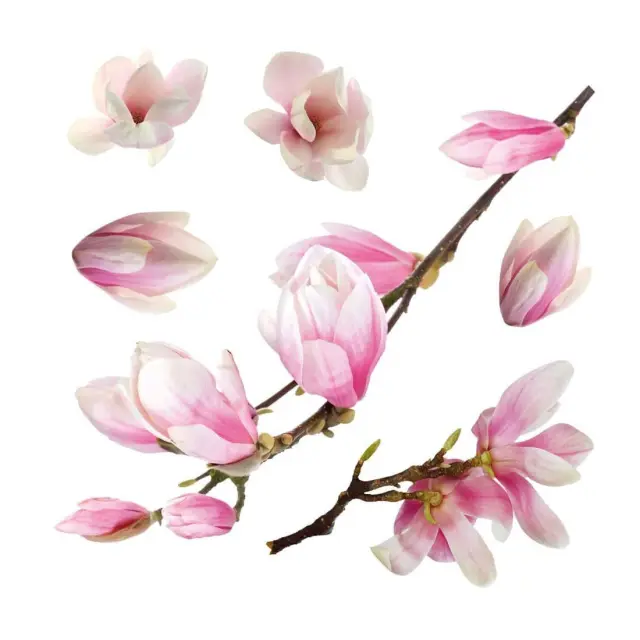 Αυτοκόλλητα Βινυλίου για Τζάμι Ango Magnolia 64006 2