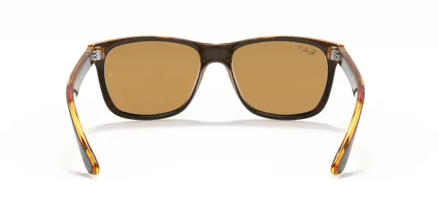 Γυαλιά Ηλίου Ray Ban RB4181 710/83 Μονόχρωμοι Εσωτερική επίστρωση Polarized (Ray Ban) (RB4181 710/83) 3