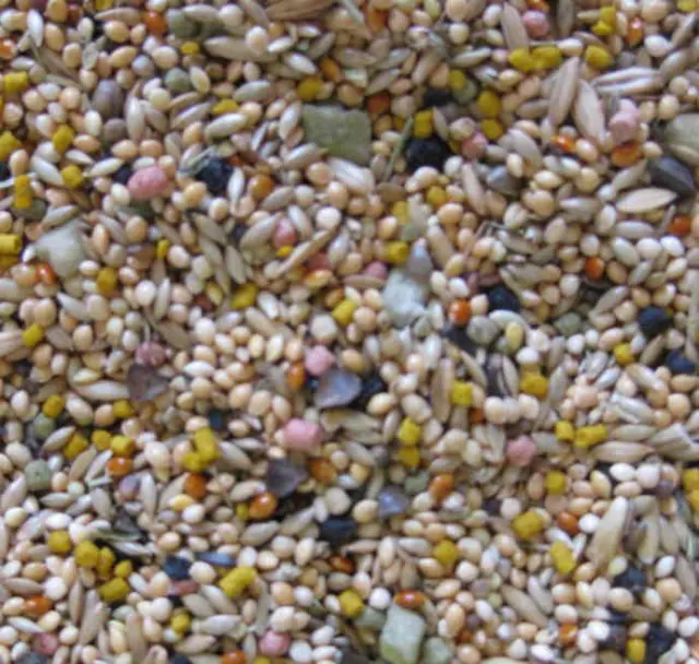 Deli Nature Birdelicious Budgies - Πλήρης Τροφή για Παπαγαλάκια 800g 2