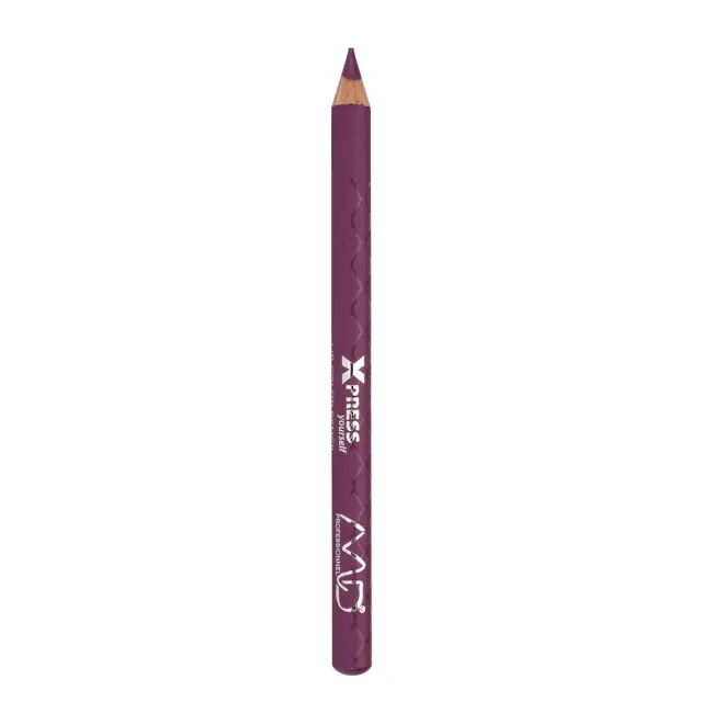 Express Yourself Lip Color Pencils L237
