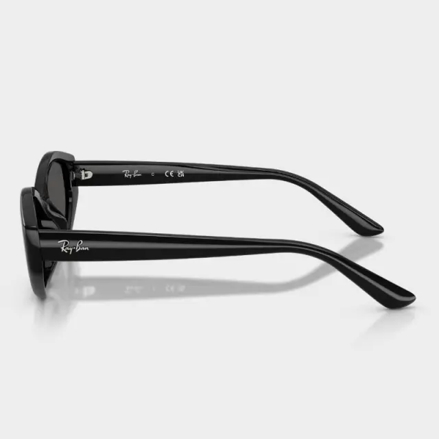 Γυαλιά Ηλίου Ray Ban RB4473D 667787 Μαύρο - 56 3