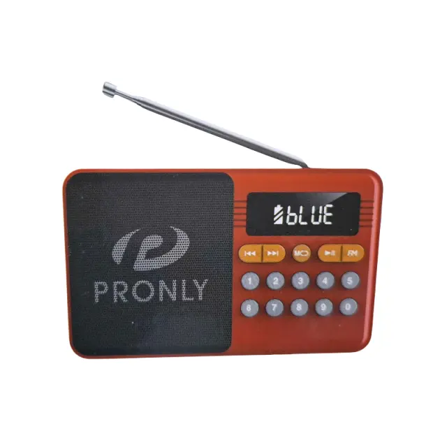 Επαναφορτιζόμενο ραδιόφωνο με Bluetooth - PR-808BT - 241335 - Grey