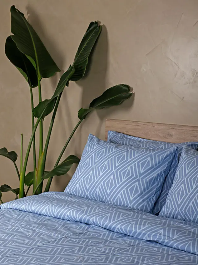 Σετ Σεντόνια Cotton Feelings 2042 Blue King Size (260x270) Sunshine 2