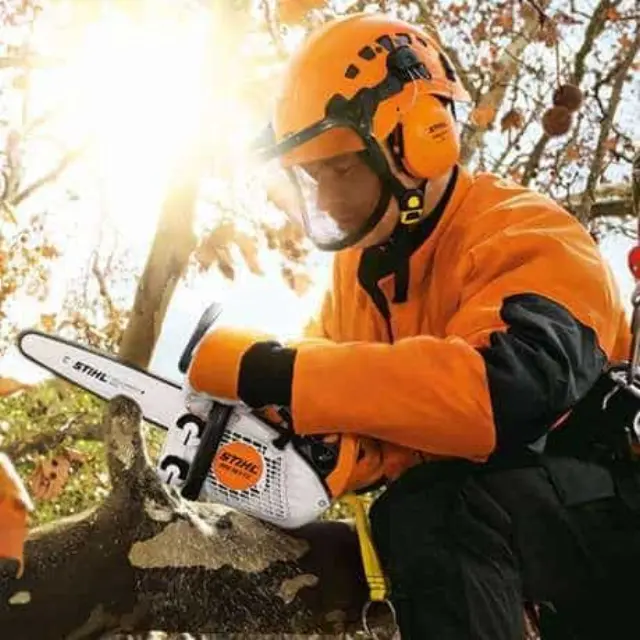 Βενζινοκίνητο Αλυσοπρίονο STIHL MS 151 TC-E 3