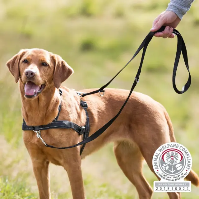 Trixie Easywalk Lead'n Walk Soft Εκπαιδευτικό Σαμαράκι Μαύρο - Large/Xlarge (65-105cm) 2