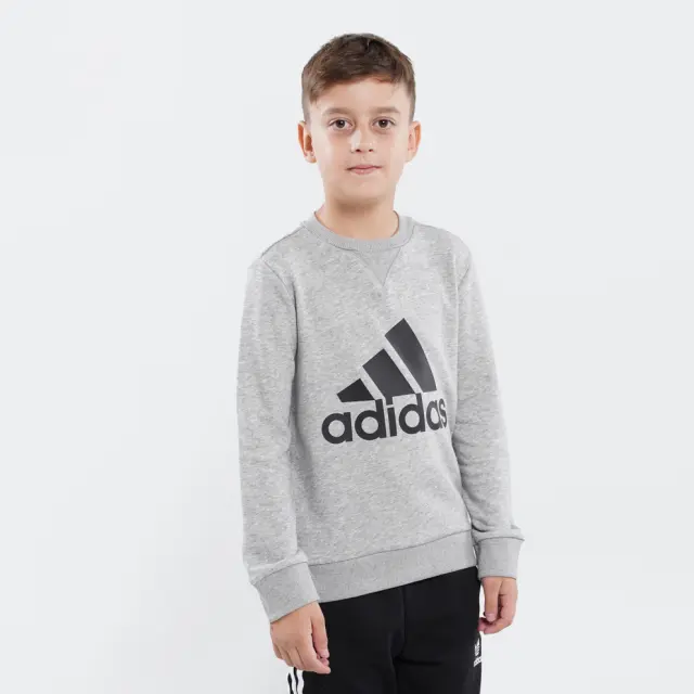 Adidas Essentials Παιδικό Φούτερ GS4273 - 15-16 χρονών 3