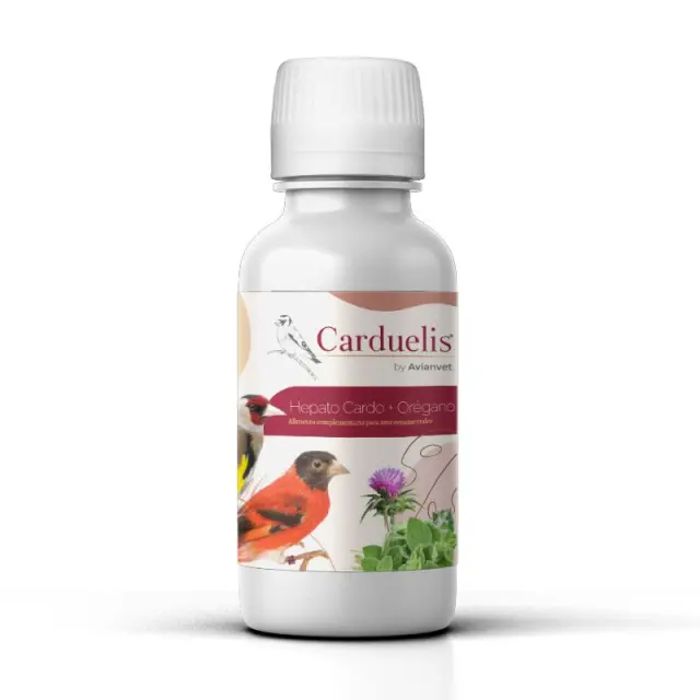 Avianvet Carduelis Hepa Cardo + Oregano Συμπλήρωμα Διατροφής Υγρό με Γαϊδουράγκαθο και Ρίγανη για Υποστήριξη Ήπατος και Πεπτικού Συστήματος Καρδερινών και Σπίνων 240ml