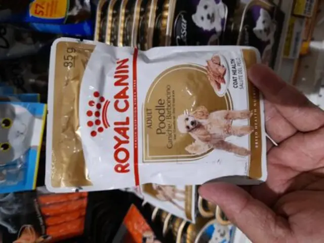 Royal Canin Caniche/Barboncino με Κρέας 85gr