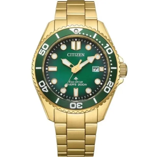 Citizen Promaster BN0262-59W