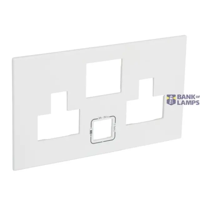 Special plate for multistandard 2x2P+E switched 2 gang socket outlet Arteor with USB charger - white