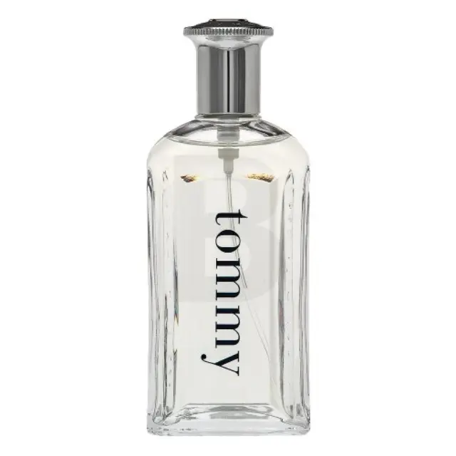 Tommy Hilfiger Tommy Man Eau de Toilette for men 100 ml